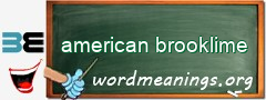 WordMeaning blackboard for american brooklime